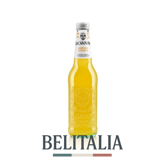 Aranciata Bio 355ml - Galvanina