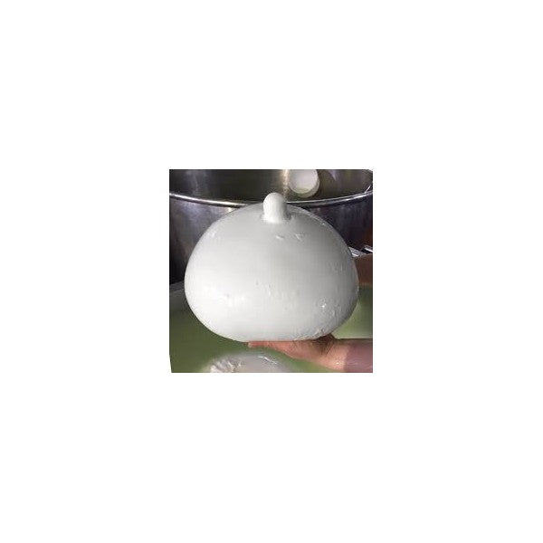 Regina di Battipaglia - Grande mozzarella di Bufala Campana DOP - Caseificio Mail